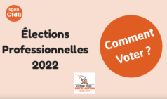 Elections professionnelles 2022 : comment voter ?
